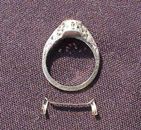 ring guards