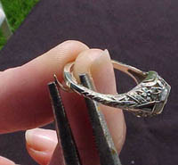 ring guard